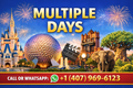 Multiple Days Theme Park Ticket Disney