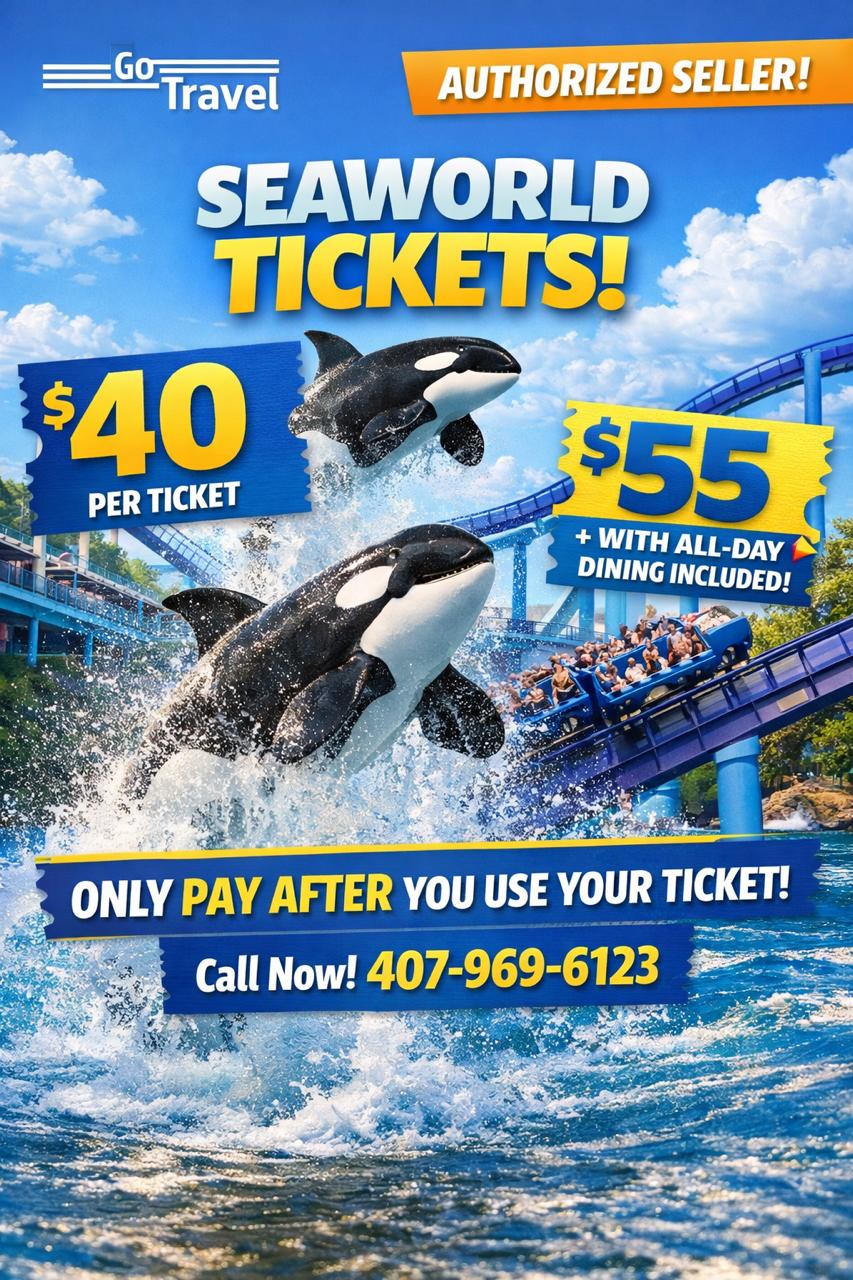 Seaworld Any Day
